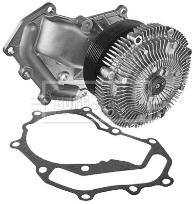 BWP2154
