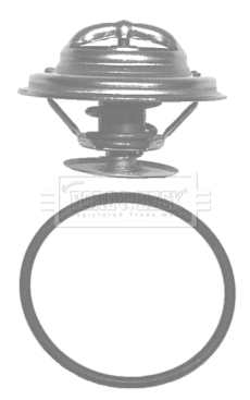 BBT019