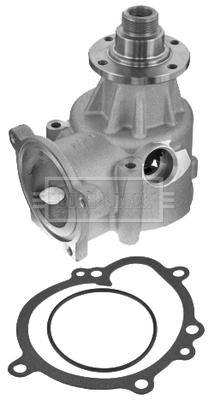BWP2182