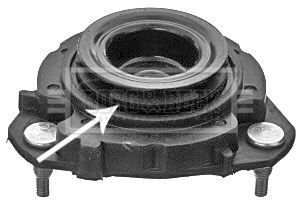 BSM5181