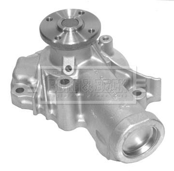 BWP2095
