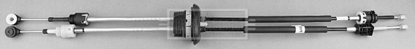 BKG1009