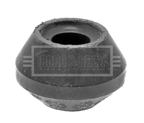 BSM5202