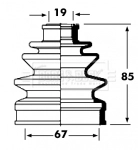 BCB2355