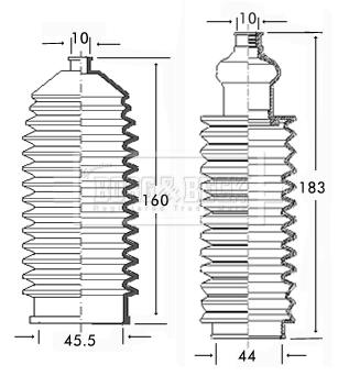 BSG3101