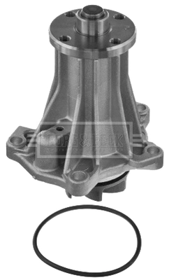 BWP1507