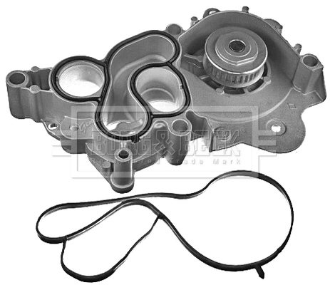 BWP2369