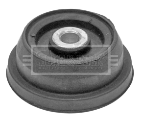 BSM5252