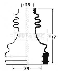 BCB2916