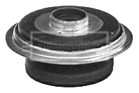 BSM5418