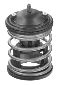 BBT446