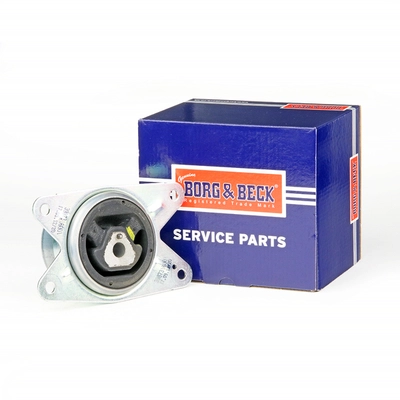 BEM3355