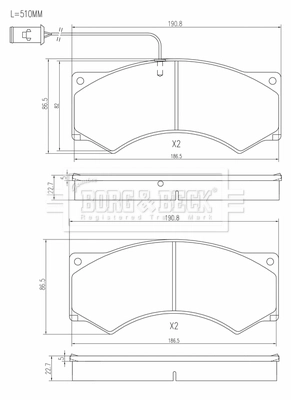 BBP33019