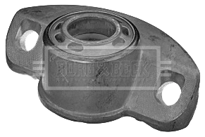 BSM5397