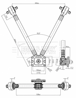 BCA33281