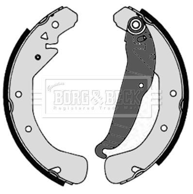 BBS6203