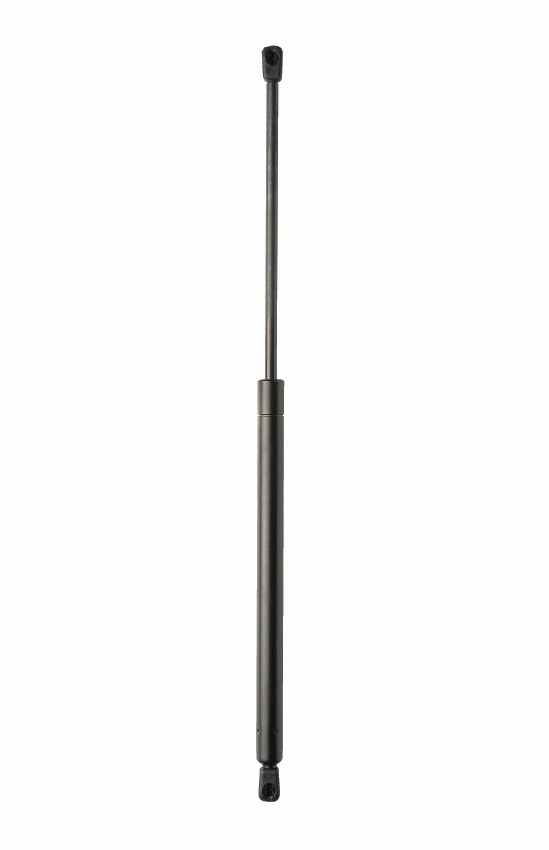 ML4891