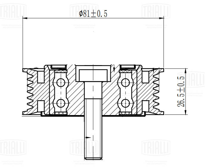 CM 5519