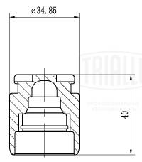 RCF 012119P