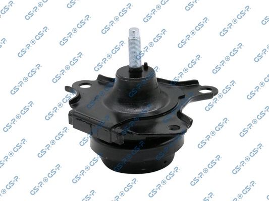GSP-513989
