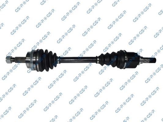 GSP-299286
