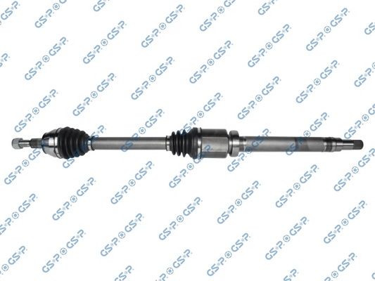GSP-218420