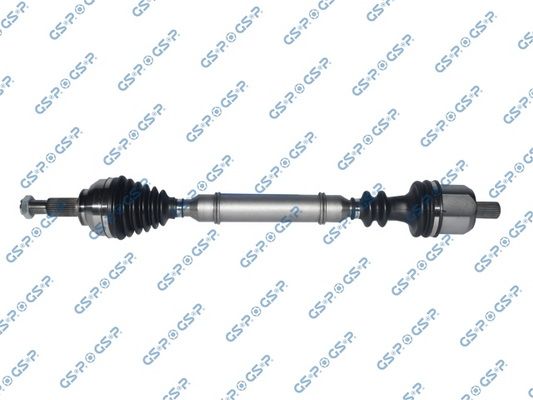 GSP-250281