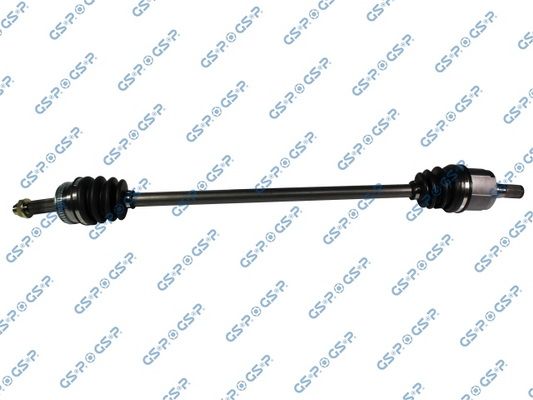 GSP-224194