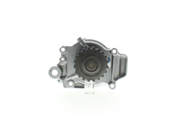AIS-WPH010