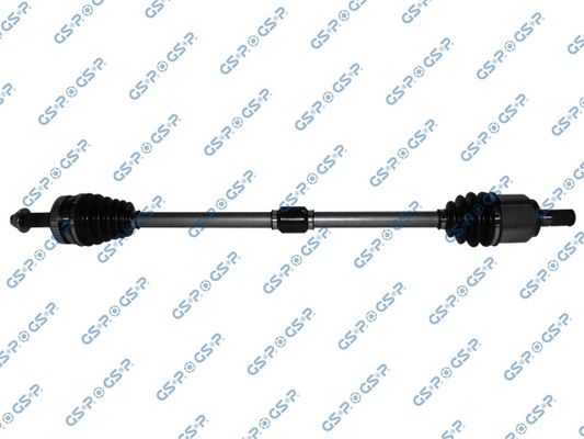 GSP-224261