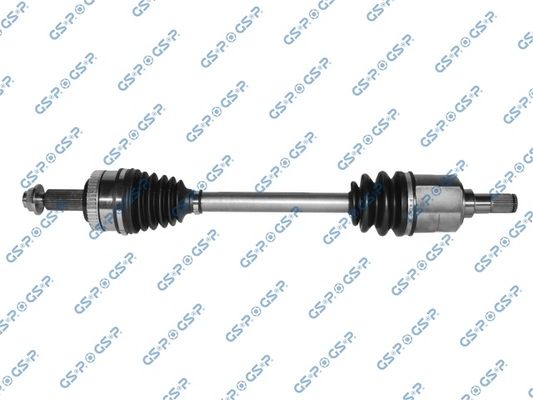 GSP-224299