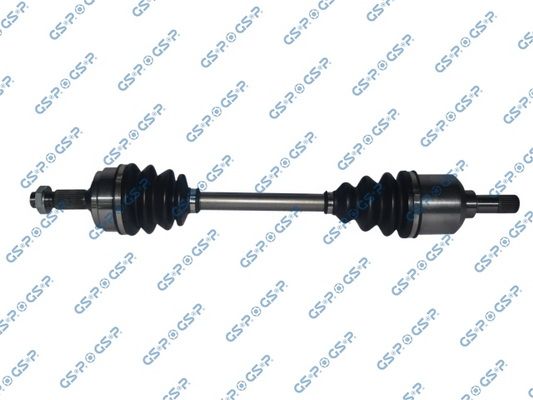GSP-210113