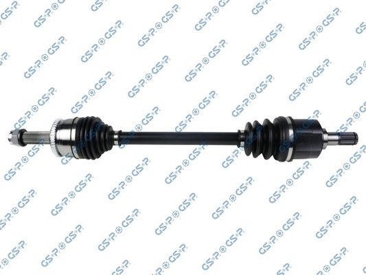 GSP-224304