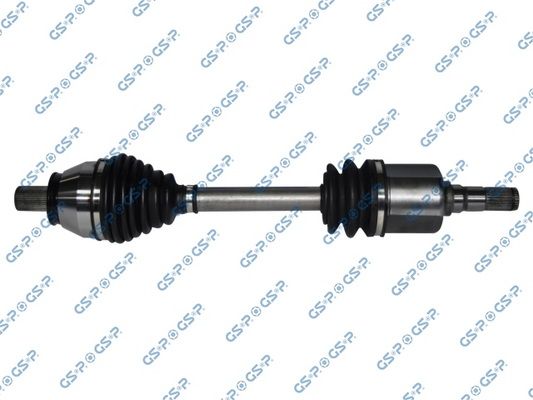 GSP-262081