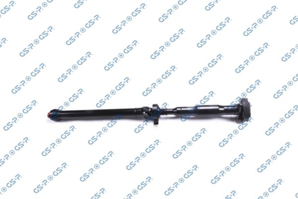 GSP-PS900169
