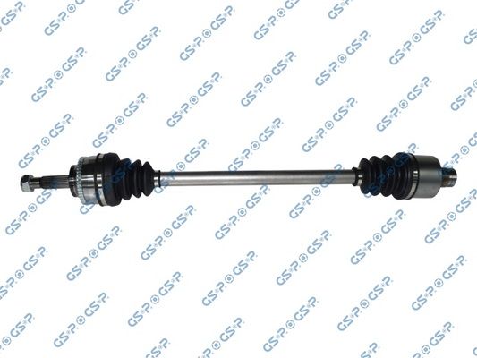 GSP-250021