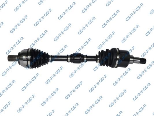 GSP-218261
