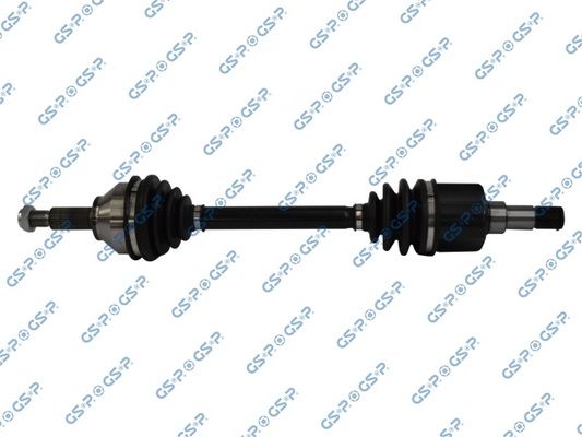 GSP-218220