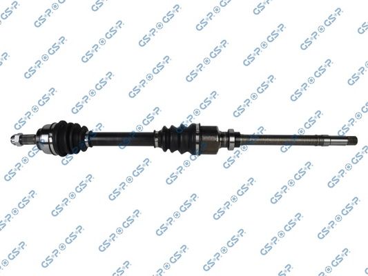 GSP-210205