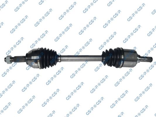 GSP-218361