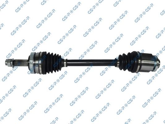 GSP-224173