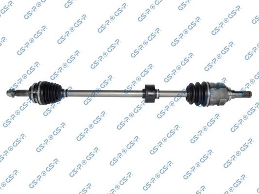 GSP-259562