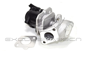 EEG-CP02