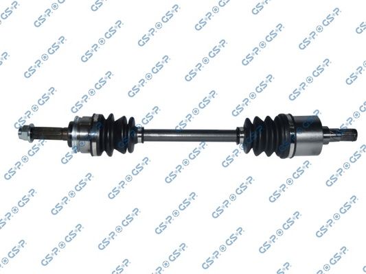 GSP-299095
