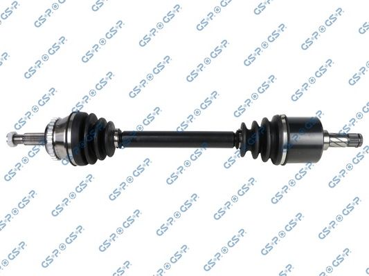 GSP-250271