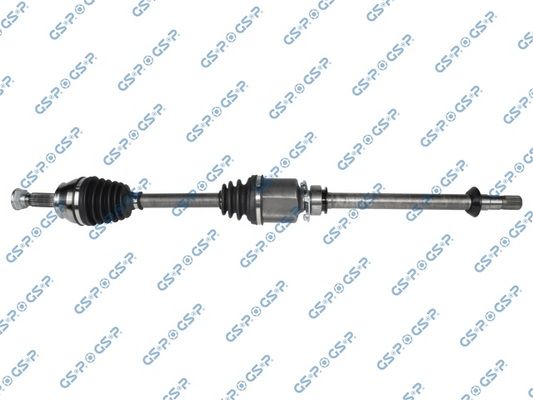 GSP-217019