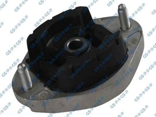 GSP-530363