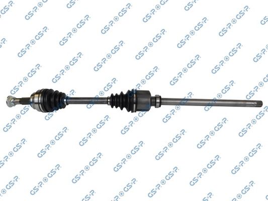 GSP-245174