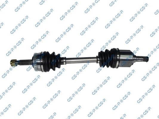 GSP-299069