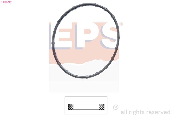 EPS-1890 717